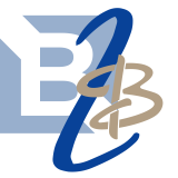 B2BNic.com